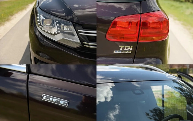 Volkswagen Tiguan cena 59900 przebieg: 182000, rok produkcji 2013 z Lubomierz małe 704